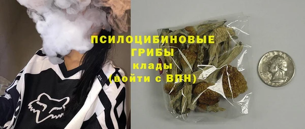 PSILOCYBIN Остров