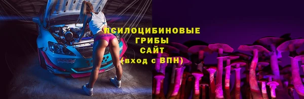 мдпв Ветлуга