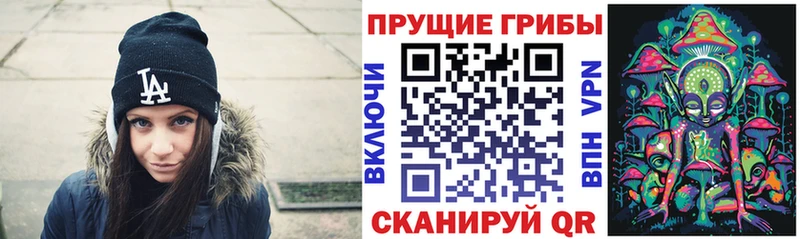 OMG онион  Алапаевск  Псилоцибиновые грибы MAGIC MUSHROOMS  как найти закладки 