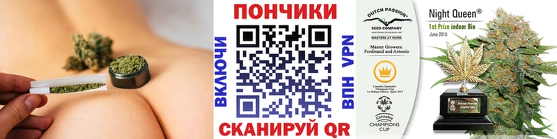 Бошки марихуана Ganja  ссылка на мегу ССЫЛКА  Алапаевск  магазин  наркотиков 